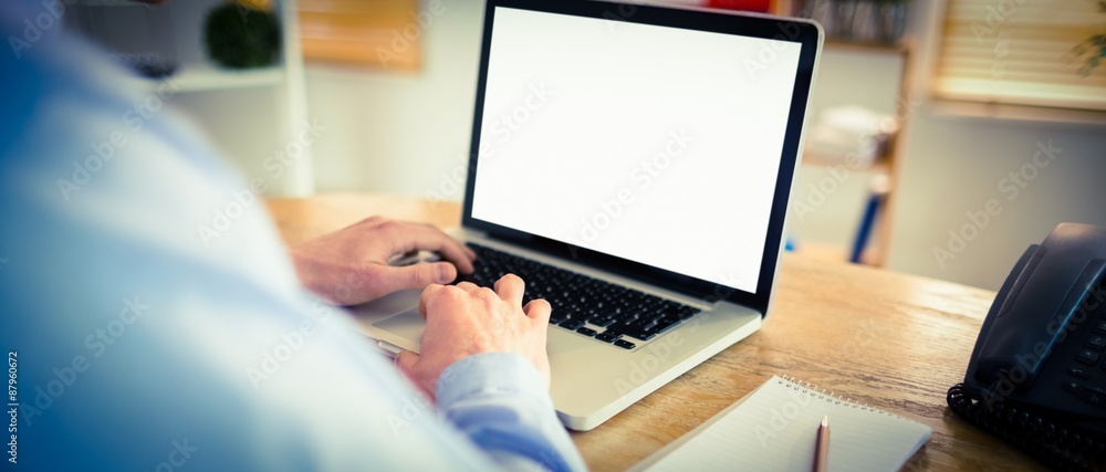 Businessman working on his laptop - obrazy, fototapety, plakaty 