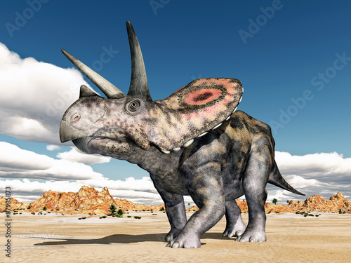 dinozaur-torosaurus