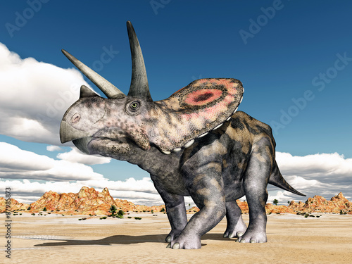 Obraz w ramie Dinosaur Torosaurus