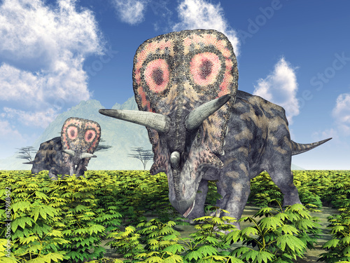 Naklejka dekoracyjna Dinosaur Torosaurus