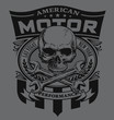 Motor skull shield design