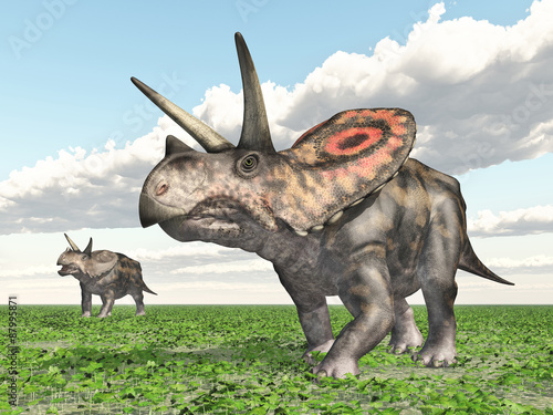 Obraz w ramie Dinosaur Torosaurus