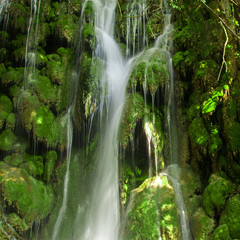  Waterfall from ravine