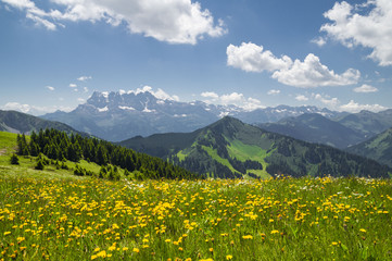 Canvas Print - Beautiful summer landscape with flowers and blue sky in the French Alps ,Rhone - Alpes region