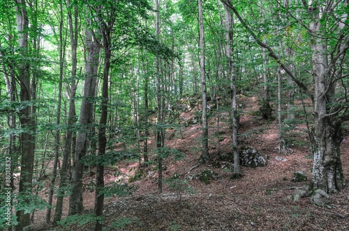 Naklejka na szybę Monti del Matese