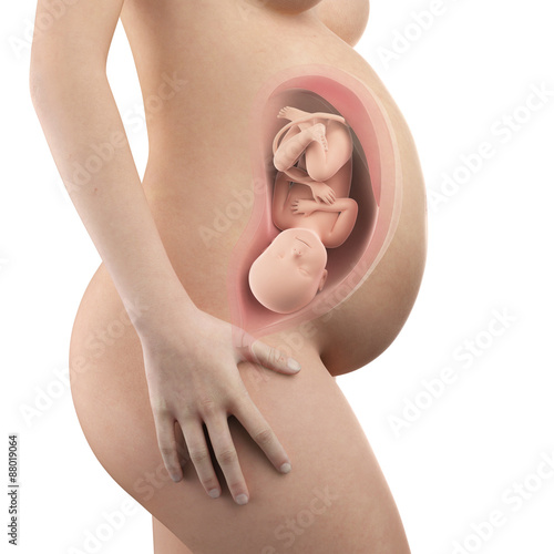 Fototapeta na wymiar pregnant woman with visible uterus and fetus week 40