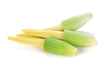 Sticker - Baby corn on white background