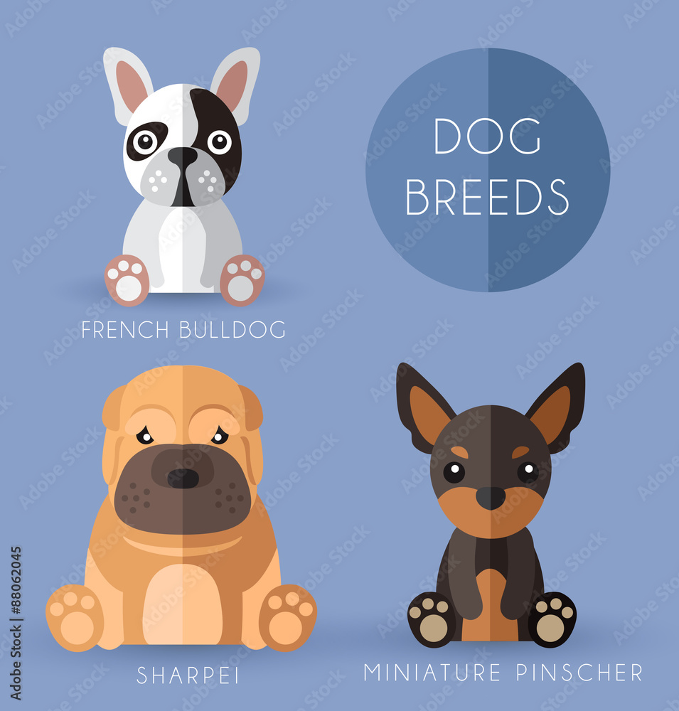 Dog Breeds : Vector Illustration Stock Vector | Adobe Stock
