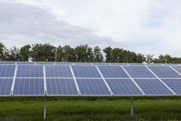  Field with blue siliciom solar cells alternative energy