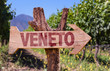 Veneto wooden sign with winery background