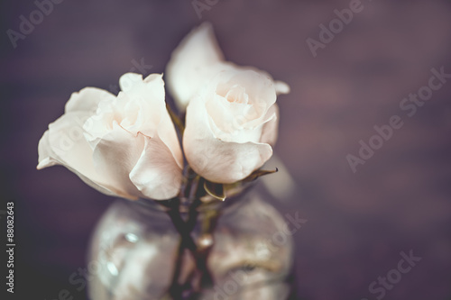 Vintage White Roses In Clear Glass Vase With Purple Background