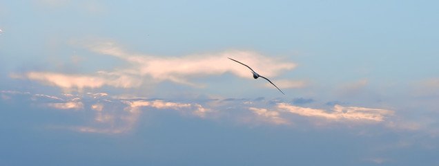 sky