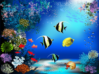 Plakat podwodne roślina woda morze ryba