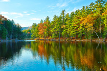Pond In White Mountain National Forest, New Hampshire