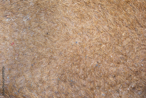 Coir Natural Fiber Doormat Suitable For Use As Texture