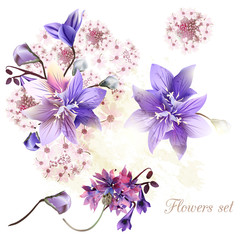 Wall Mural - Collection of tender flowers watercolor style