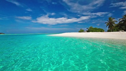 Wall Mural - Palm trees over tropical lagoon with white beach in Maldives
