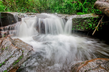 Poster - waterfall in the tropical forest.