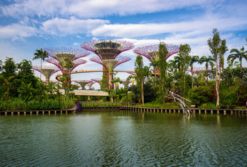 Wall Mural - The Supertree at Gardens by the Bay