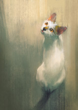 Young White Cat Looking Up,digital Painting