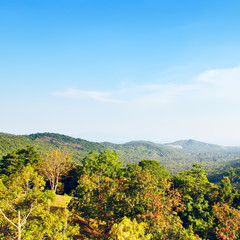 Canvas Print - Beautiful Tropic Landscape