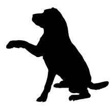 Vector Silhouette Of A Dog.