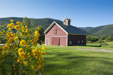 Little Farm In The Mountains In Dorset, Vermont, New England 