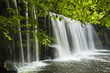 Sqwd Ddwli Waterfall, Brecon Beacons, Wales