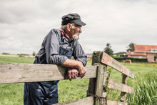 Elderly Farmer Leaning On A Paddock Fence
