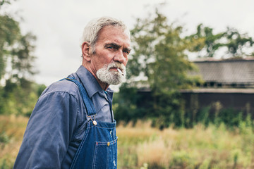 Wall Mural - Pensive Senior Man Smoking Cigarette at the Farm