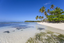 La Playita Beach, Las Galleras, Samana Peninsula, Dominican Republic