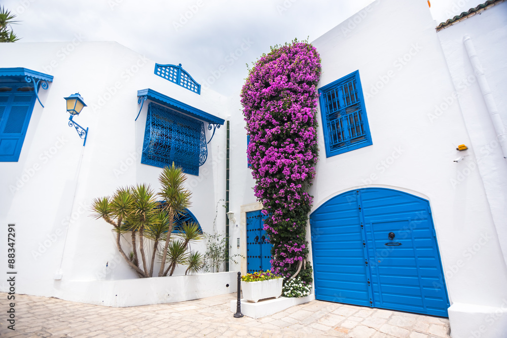 Carrelage Photo Sidi Bou Said Tunisia Nikkelart Be