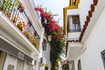 Wall Mural - Summer, streets of Marbella in Spain with flowers and plants on