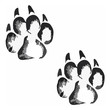 Footprints of a big cat4-vector 
