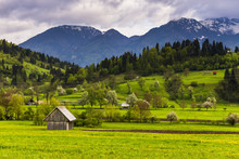 Typical Slovenian Landscape Between Lake Bled And Lake Bohinj, Triglav National Park, Julian Alps, Slovenia