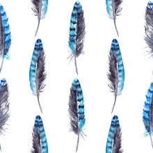 Watercolor Blue Jay Feather Black Blue Isolated Pattern Background