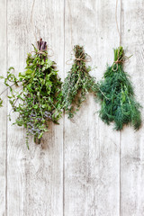 Canvas Print - fresh herbs