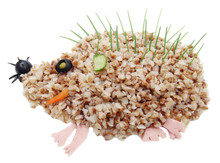 Creative Vegetable Food Dinner Hedgehog Form