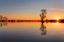 Silhouette Tree At Sunset In Lake