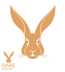 Canvas Print - Hare