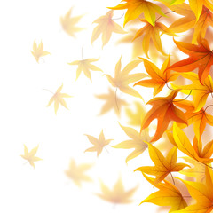 Wall Mural - autumn maple leaves falling on white background, vector illustration