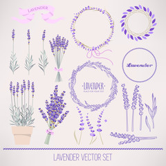 Wall Mural - Lavender set