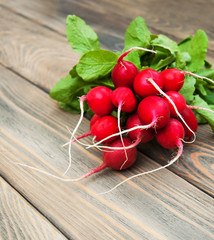 Canvas Print - Fresh organic radish