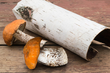 Two mushroom with orange caps (Leccinum Aurantiacum) and birch bark on a roll on the old wooden table. Selective focus