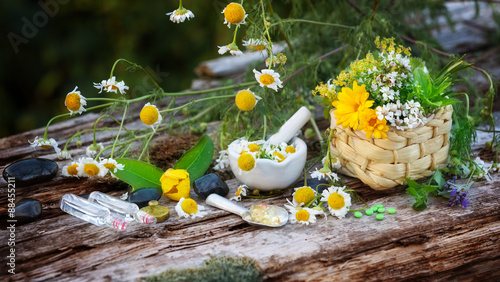 Zdjęcie XXL Rumianek, rośliny lecznicze, homeopatia