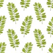 Watercolor seamless pattern with acacia leaves. Hand drawn vector background for packaging, textile