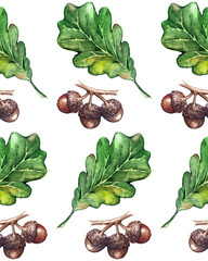 Watercolor three oak green leaf acorn seed seamless pattern background