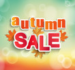 Autumn Sale collection. Vector autumn background with bokeh. Text design.