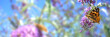 Banner - flowers and butterfly - Garden