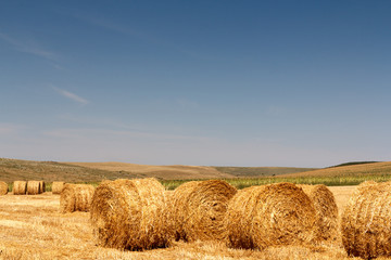 Hay bale on a rural field